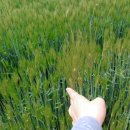 입암주유소 이미지