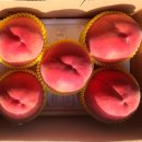 원주쇼핑 이미지