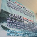 기약국 | 곰치랑대구랑 : 강릉 곰치국, 대구탕 로컬맛집 내돈내산 솔직후기