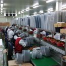 옥종농업협동조합 이미지