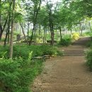 답십리공원 이미지