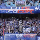 수원-1699 이미지