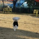 피피 킨더가든 네이버블로그