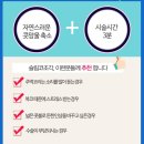 여주-0248 | 주먹코,복코,넓은콧볼 콧볼줄여주는 주사 톡스미 슬림코조각