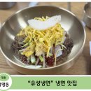 유성냉면 | [대전냉면 맛집] 대전에서 만난 진주식 냉면 — 유성냉면 솔직 후기