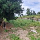 탑정마을 이미지