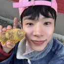 (주)태현디자인 | 샙탬벌 시펄