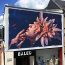 자연-꽃 이미지