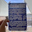 people puppy 이미지