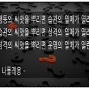 마이스터디코치