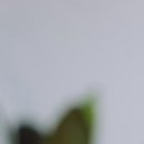 은계두리이비인후과의원 이미지