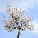 엘리트 유도 멀티짐 이미지