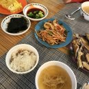 블루포니 게스트하우스 | 제주도 3박 4일 뚜벅이 겨울 여행 DAY4