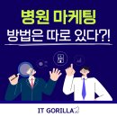 아이티고릴라 - 17756 | 아이티고릴라