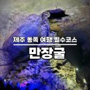 만장굴 | 제주 만장굴 세계 자연유산 용암동굴 무료 해설과 함께 탐방한 후기