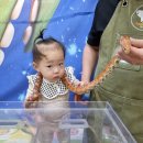 자연생태어린이집 이미지