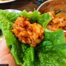 낙지의 전설 이미지