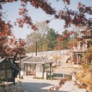 강경할미젓갈