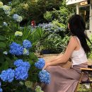 서삼중로 이미지