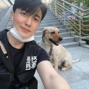 아이도그케어(I DOG CARE) | 부산산책대행 최고! 케어해줄개로 안심하고 맡기세요!