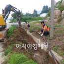 완도12호 이미지