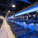 강남) 스포애니 테헤란로점 여성트레이너 한분 구인합니다 12월중순 올리모델링 진행 이미지