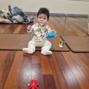 평촌 홈플러스 문화센터, 7개 업체 수업 들어본 솔직후기(추천 vs 비추천)