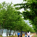 의령남강 이미지