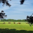 정권목장 이미지