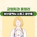 수목메디칼빌딩 | 부산광역시 수영구 광안동 교정치과 총정리