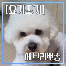 에브리 뽀송 이미지