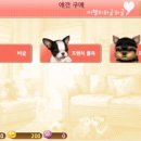 마이독스 이미지