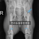 두리종합동물병원 이미지