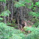 호수로50번길 이미지