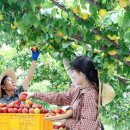 플럼마트 이미지