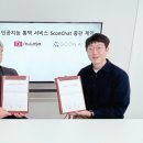 엠앤