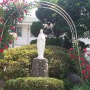 장애인복지관 1층 화장실 이미지