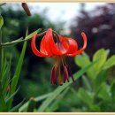 한백농장 이미지