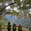 산과 사심 이미지