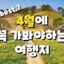 4월에 반드시 가봐야하는 여행지 7곳만 모아서 소개해 드립니다. 꽃 구경하실 때 꿀팁도 알려드릴게요! 이미지