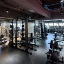 애니타임 | 일본 헬스장 추천 ① 애니타임 피트니스(Anytime Fitness) 후기 및 가격 총정리