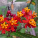 개울건너 이미지