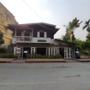 빅트리(Bigtree) 이미지