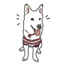 복주소 이미지