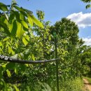 산전농장 이미지