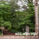 단지PC | [제주도 5박6일 여행] 4일차 :: 비자림 / 해왓 / 성산일출봉 / 서귀포 올레시장 / 제주가볼만한곳