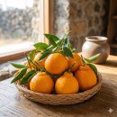 감귤박물관 야외화장실 | 제주도 서귀포 가족 숙소 추천, 벨룸리조트 온수풀 수영장과 히노키탕 완벽 후기