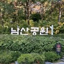 1026차 길동무 | 6/30(화) 남산 하늘숲길 ~ 북측숲길 이미지