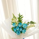 신월동175 이미지