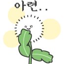 스토리위너컴퍼니